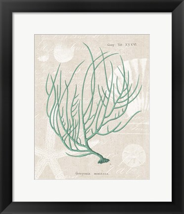 Framed Gorgonia Miniacea on Linen Sea Foam Print