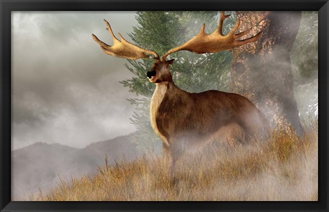 Framed Irish Elk stands in deep grass on a foggy hillside Print