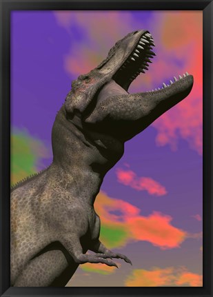 Framed Tyrannosaurus Rex roaring against a colorful sky Print