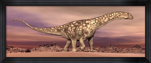 Framed Large Argentinosaurus dinosaur walking in the desert Print
