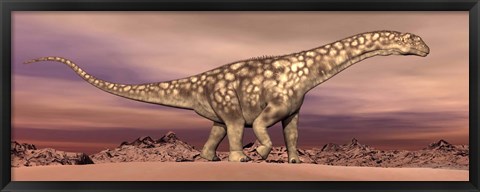 Framed Large Argentinosaurus dinosaur walking in the desert Print