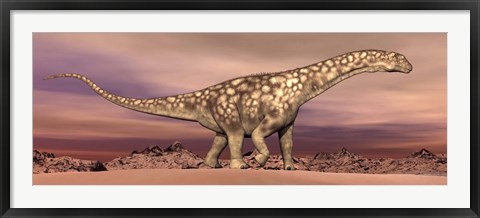 Framed Large Argentinosaurus dinosaur walking in the desert Print