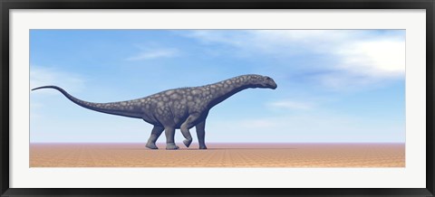 Framed Large Argentinosaurus dinosaur walking in the desert Print