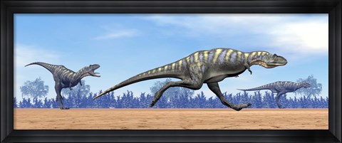 Framed Three Aucasaurus dinosaurs running in the desert Print
