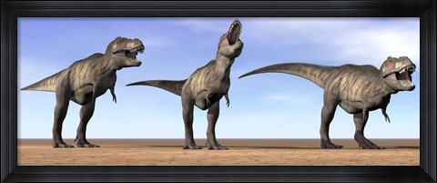 Framed Three Tyrannosaurus Rex dinosaurs standing in the desert Print