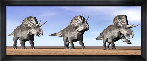Framed Three Zuniceratops standing in the desert Print