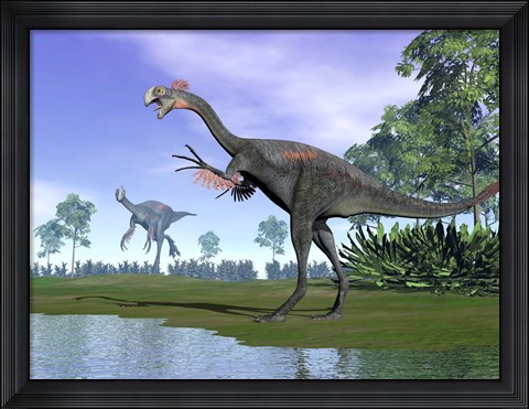 Framed Two Gigantoraptor dinosaurs in a prehistoric environment Print
