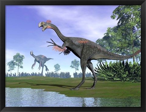 Framed Two Gigantoraptor dinosaurs in a prehistoric environment Print