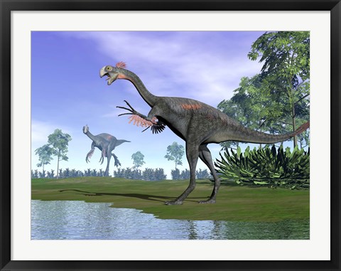 Framed Two Gigantoraptor dinosaurs in a prehistoric environment Print