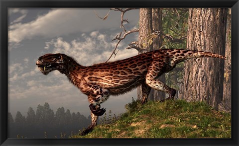 Framed leopard coated Lycaenops hunts among a forest Print