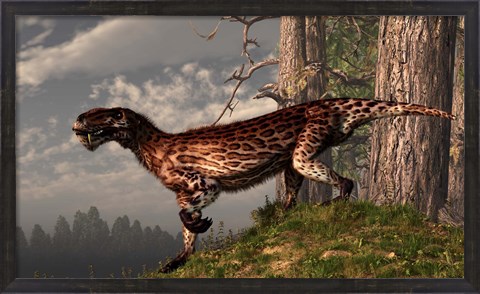Framed leopard coated Lycaenops hunts among a forest Print