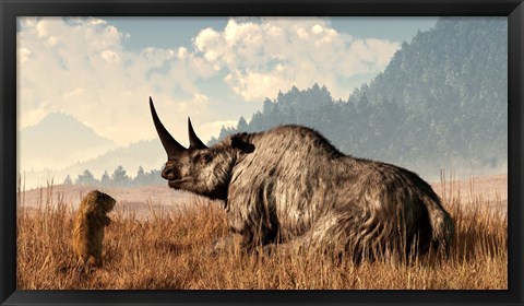 Framed marmot approaches an old and grey woolly rhinocerous Print