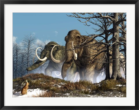 Framed rabbit witnesses a herd of mammoths in a snowy forest Print