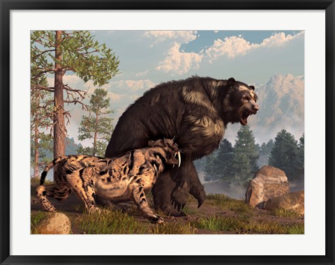 Framed saber-toothed cat tries to drive a short-faced bear out of its territory Print