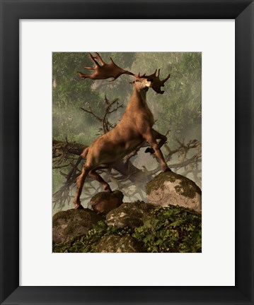Framed Irish Elk stands proudly in a dense forest Print