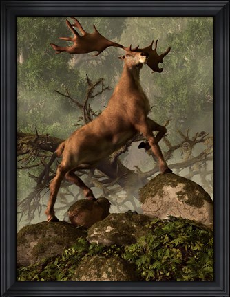 Framed Irish Elk stands proudly in a dense forest Print