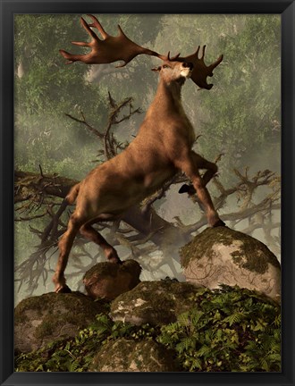 Framed Irish Elk stands proudly in a dense forest Print