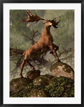 Framed Irish Elk stands proudly in a dense forest Print