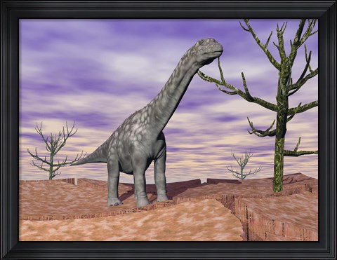Framed Argentinosaurus standing on the cracked desert ground next to dead trees Print