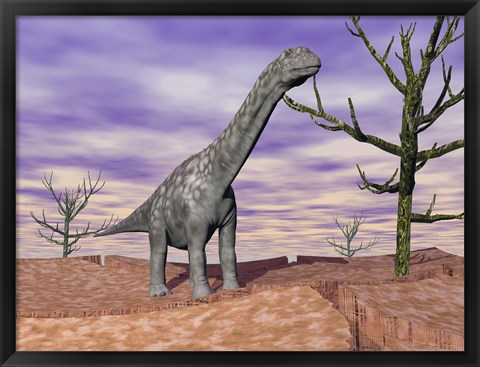 Framed Argentinosaurus standing on the cracked desert ground next to dead trees Print