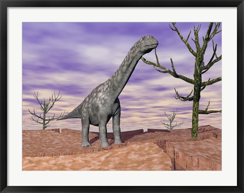 Framed Argentinosaurus standing on the cracked desert ground next to dead trees Print