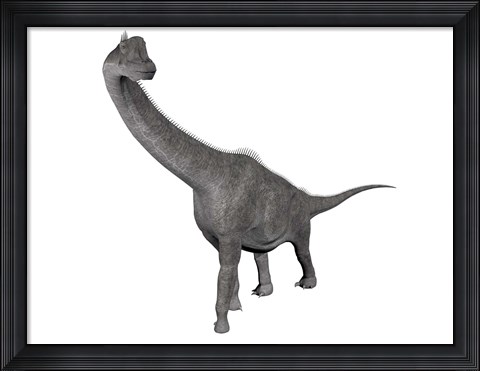 Framed Brachiosaurus dinosaur, white background Print