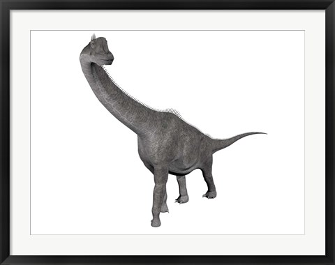 Framed Brachiosaurus dinosaur, white background Print