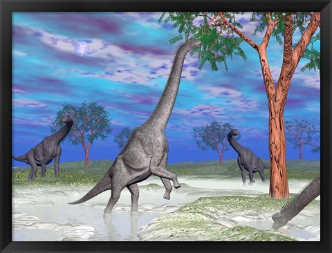 Framed Brachiosaurus dinosaurs grazing on trees Print
