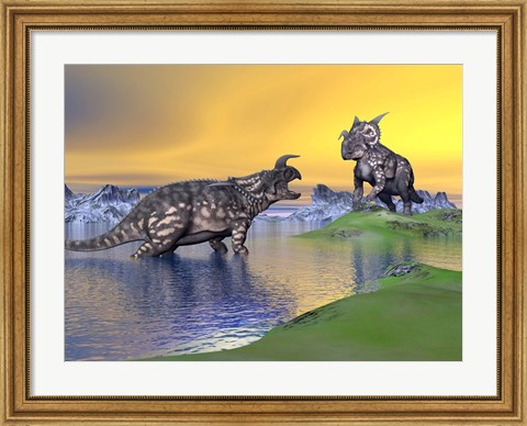 Framed Confrontation between two Einiosaurus dinosaurs Print