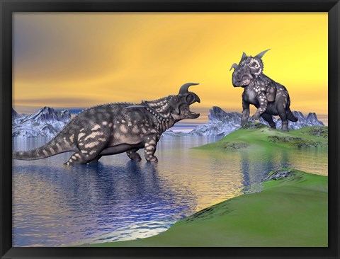 Framed Confrontation between two Einiosaurus dinosaurs Print