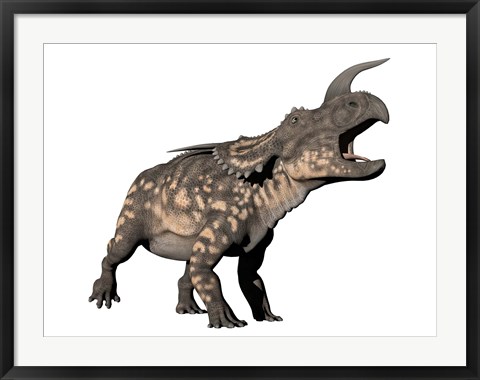 Framed Einiosaurus dinosaur, white background Print