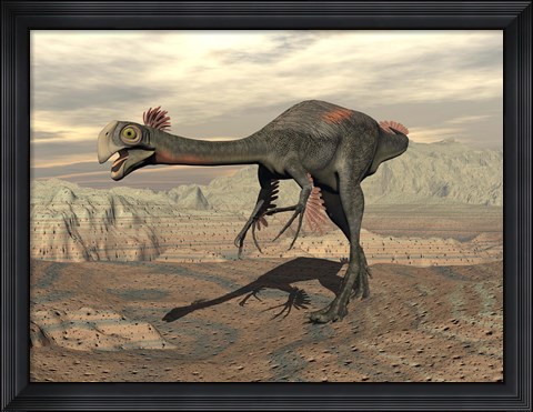 Framed Gigantoraptor dinosaur walking  on rocky terrain Print
