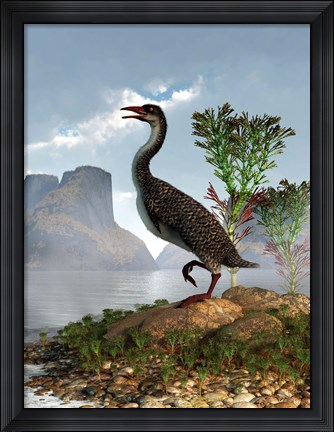 Framed Hesperornis on the shore of a lake looking around Print