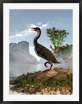 Framed Hesperornis on the shore of a lake looking around Print