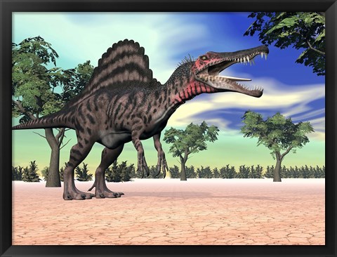 Framed Spinosaurus standing in the desert with trees Print