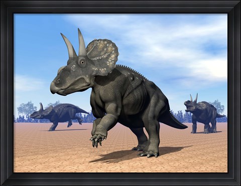 Framed Three Nedoceratops in the desert by daylight Print