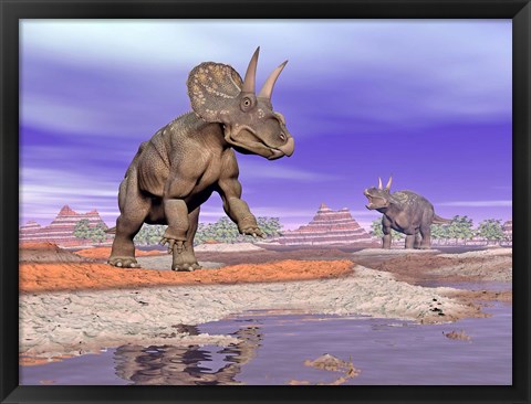 Framed Two Nedoceratops next to water in a colorful rocky landscape Print