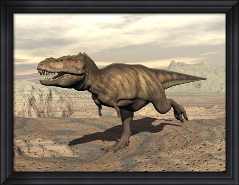 Framed Tyrannosaurus Rex dinosaur running across rocky terrain Print