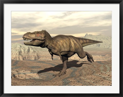 Framed Tyrannosaurus Rex dinosaur running across rocky terrain Print