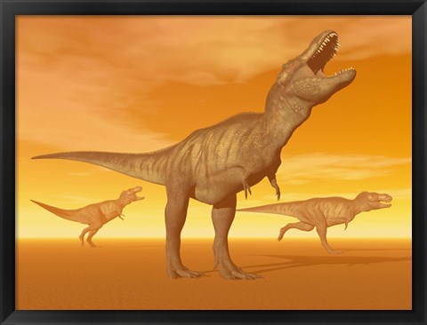 Framed Tyrannosaurus Rex dinosaurs in an orange foggy desert by sunset Print