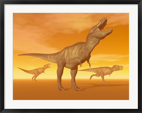 Framed Tyrannosaurus Rex dinosaurs in an orange foggy desert by sunset Print