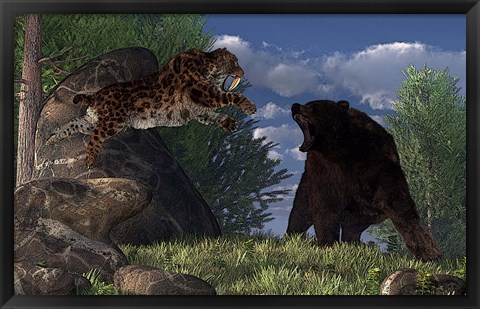 Framed saber-toothed cat leaps at a grizzly bear on a mountain path Print