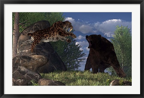 Framed saber-toothed cat leaps at a grizzly bear on a mountain path Print