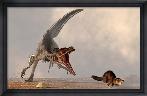 Framed velociraptor chasing a rat sized mammal Print