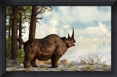 Framed woolly rhinoceros trudges through the snow, Pleistocene epoch Print