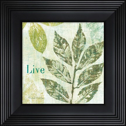 Framed Natures Impressions I Print