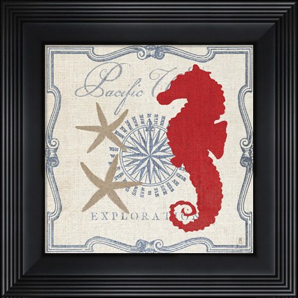 Framed Pacific Seahorse Print