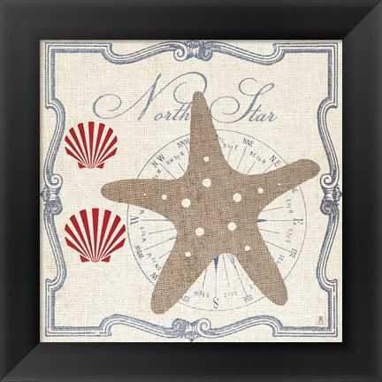 Framed Pacific Starfish Print