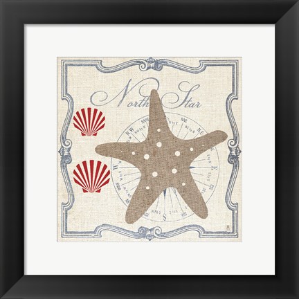 Framed Pacific Starfish Print