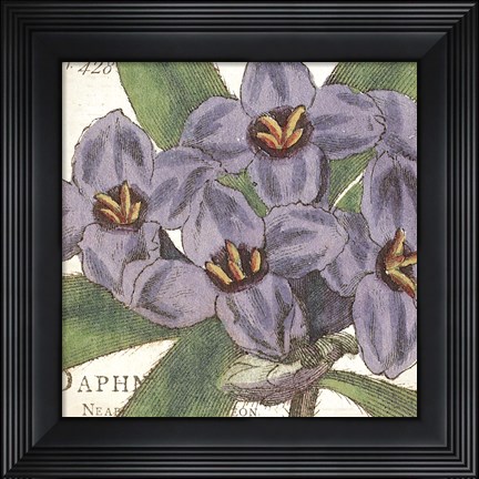 Framed Purple Floral Print